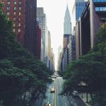 Gallery and Portfolio