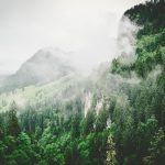 Latest WordPress Support